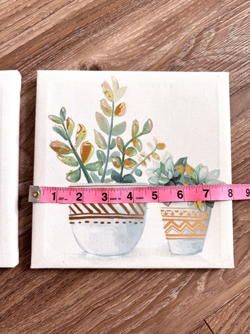 Succulent Plant Art Set - Picture 9 of 13